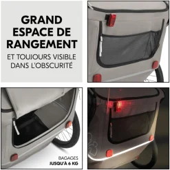 Remorque de vélo dryk duo light grey