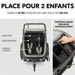 Remorque de vélo dryk duo light grey
