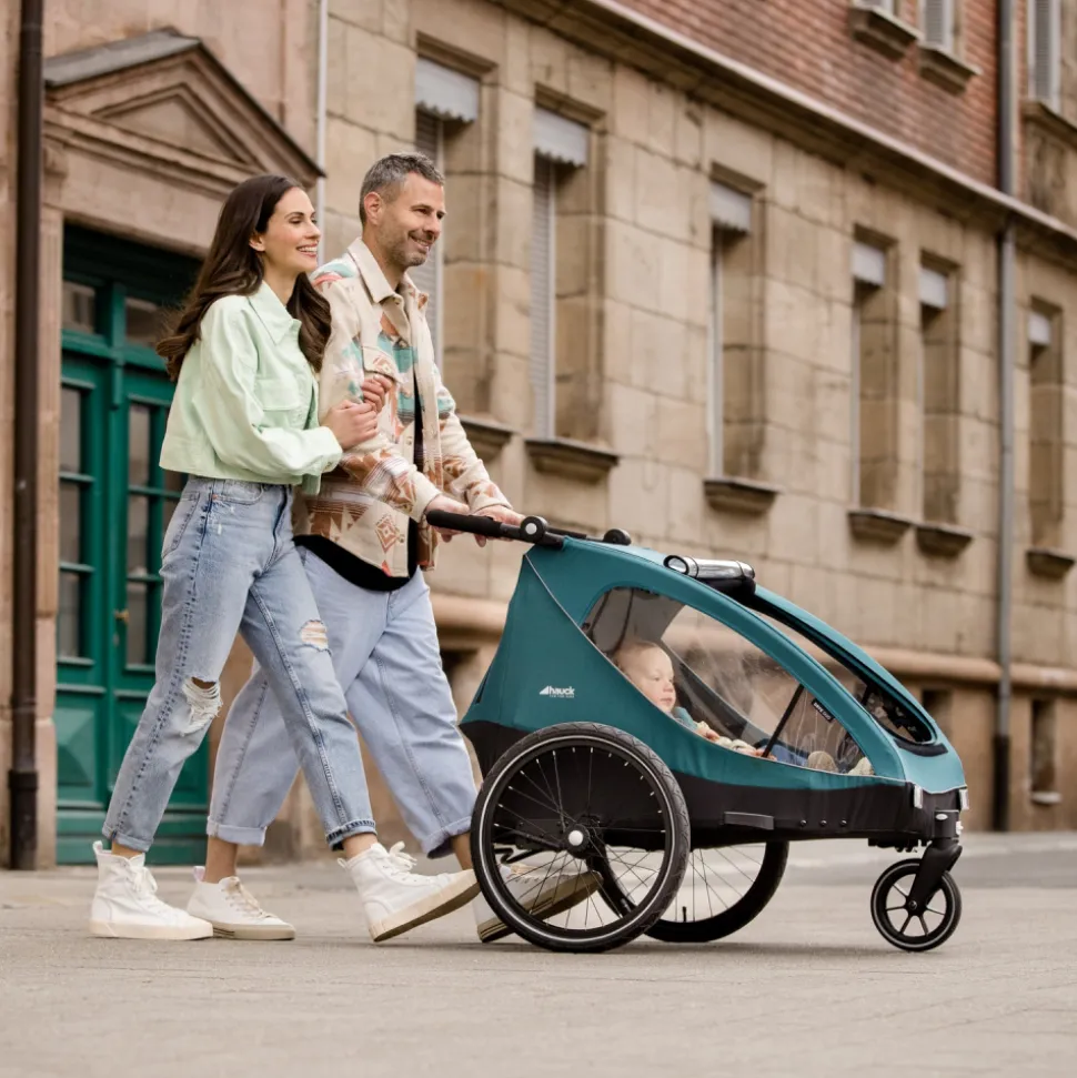 Remorque de vélo dryk duo melange grey