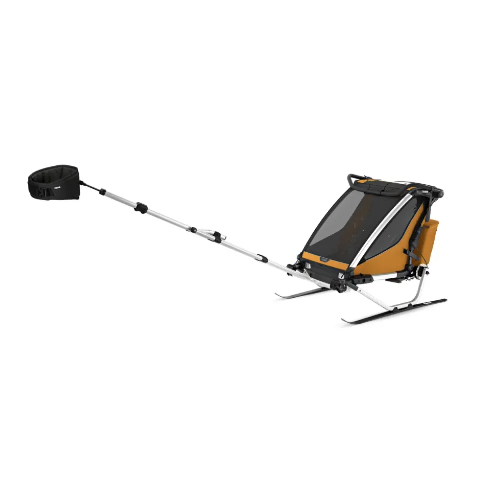 Remorque pour vélo chariot sport 2 natural gold