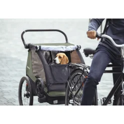 Remorque pour vélo courier vintage green
