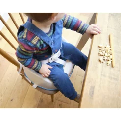 Réhausseur de chaise booster squish bleu roi