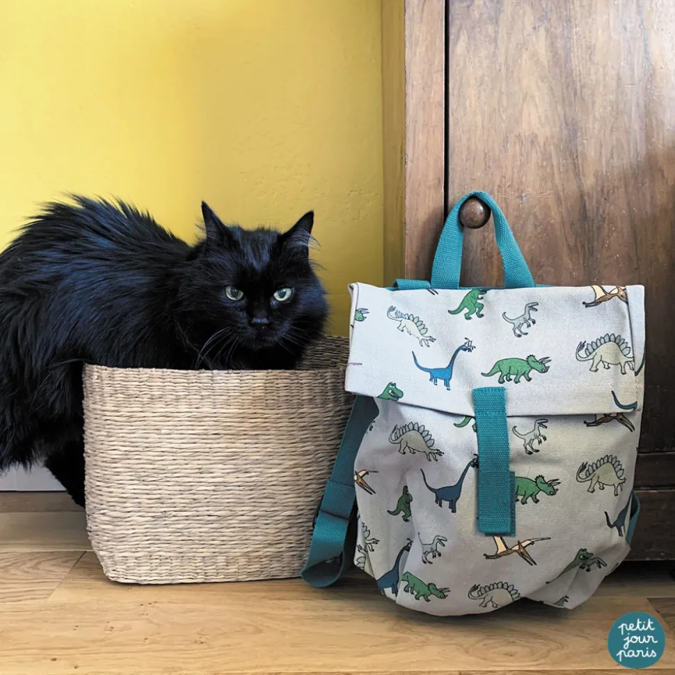 Sac à dos mini-coursier les dinosaures