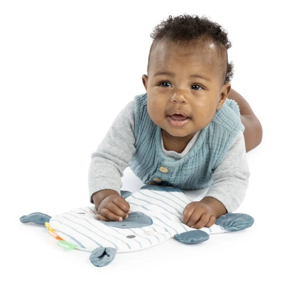 Siege bébé d'apprentissage 3 en 1 casi le zèbr
