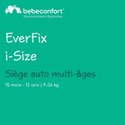 Siège auto everfix tinted black