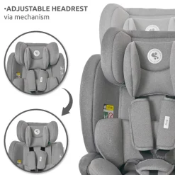 Siège auto rio 76-150 cm isofix vert
