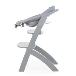 Siège ergonomique evosit pour nouveau né gris