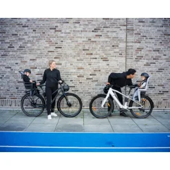 Siège vélo arrière ridealong 2 light gray