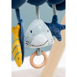 Spirale d'activités - mr. shark