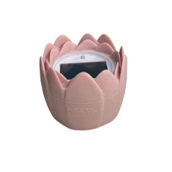 Thermomètre de bain numérique litchi