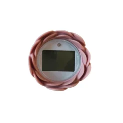 Thermomètre de bain numérique litchi