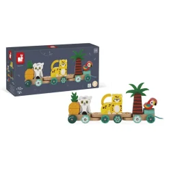 Train en bois à tirer tropik