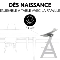 Transat balancelle pour chaise haute alpha+ premium light grey
