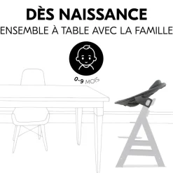Transat balancelle pour chaise haute alpha+ premium dark grey