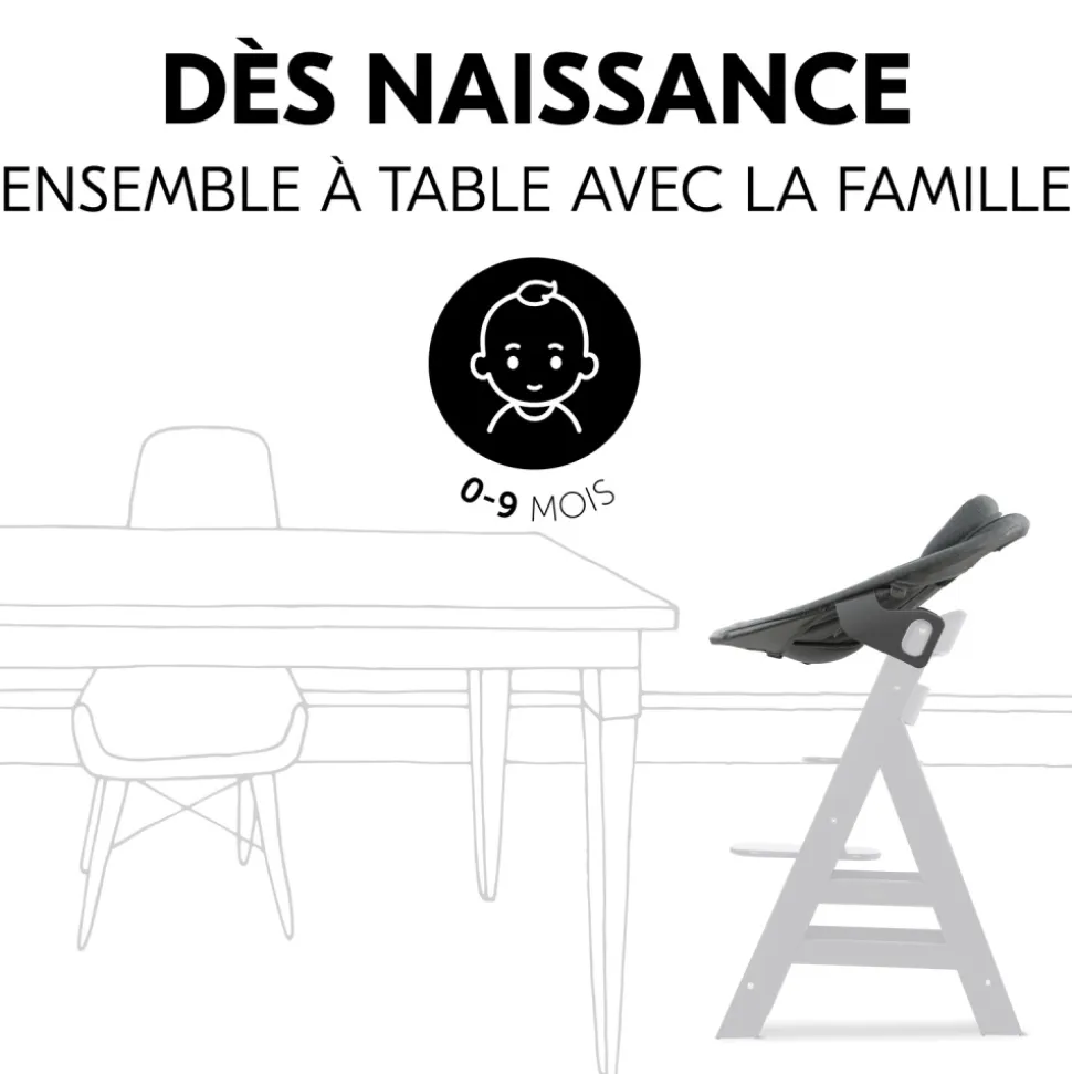 Transat balancelle pour chaise haute alpha+ premium dark grey