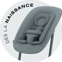 Transat bébé bouncer lemo stone blue