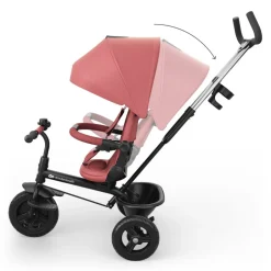 Tricycle aston 2 - pink