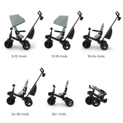 Tricycle aveo 2 plus - green
