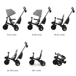Tricycle aveo 2 plus - grey