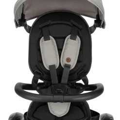Tricycle windy tinted gray