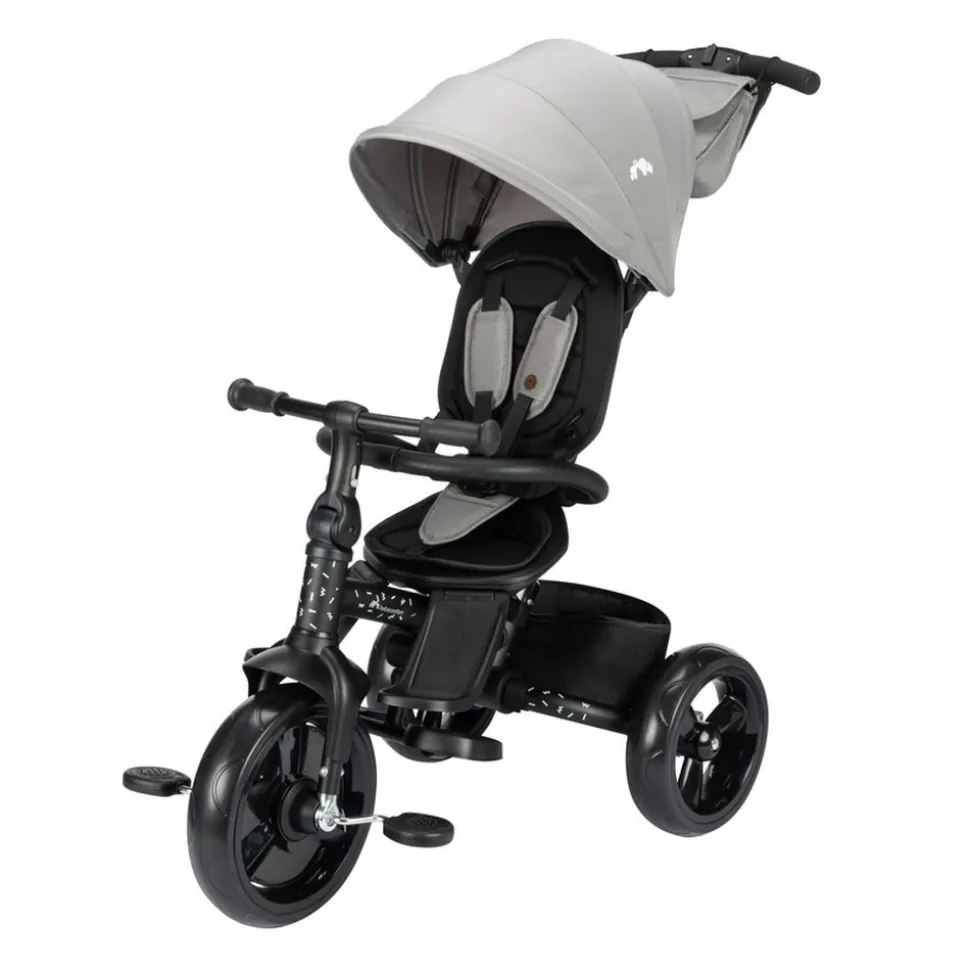 Tricycle windy tinted gray