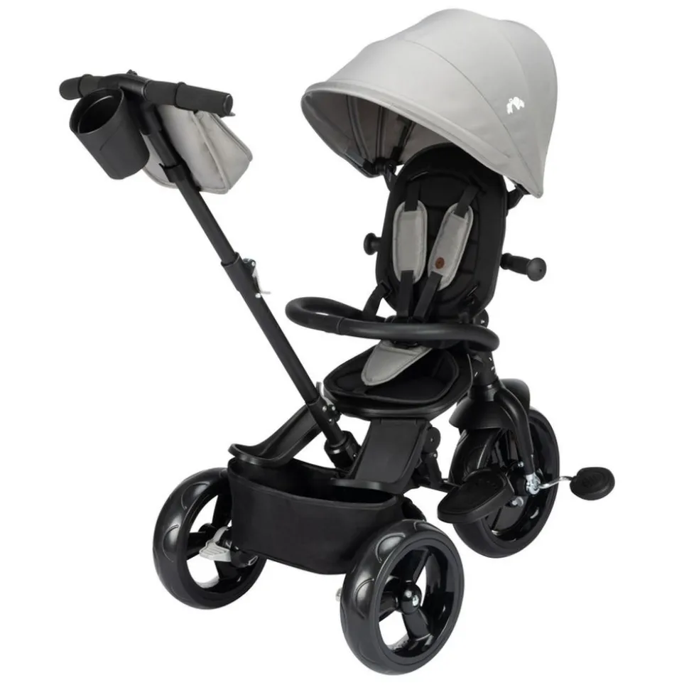 Tricycle windy tinted gray