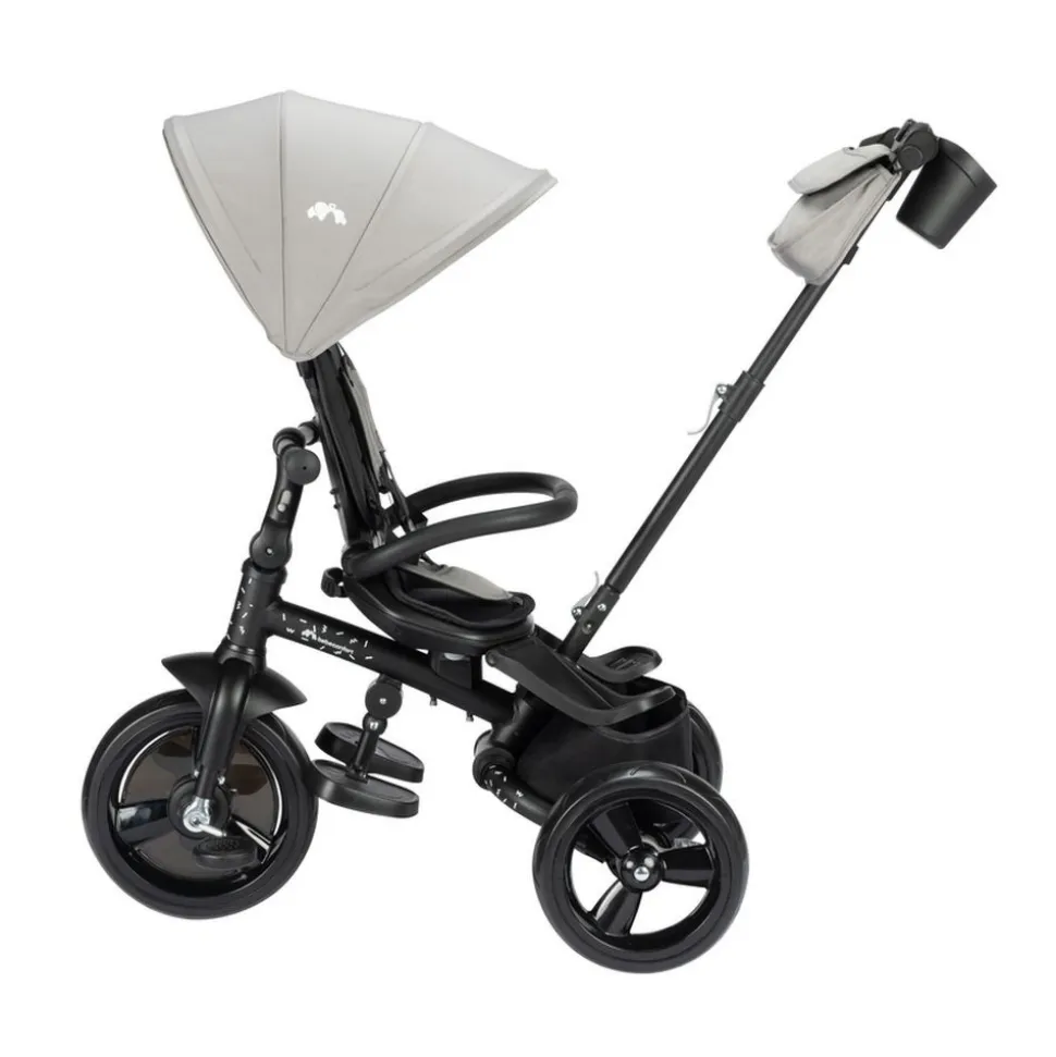 Tricycle windy tinted gray