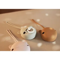 Étui à sucette en silicone wild rose