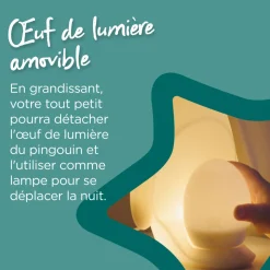 Veilleuse bébé grobrite pingouin 2-en-1 nomade