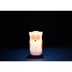 Veilleuse chouette à induction
