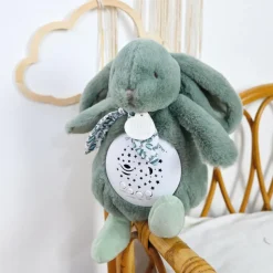Veilleuse musicale projection d'étoiles lapin doudou vert sauge