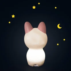 Veilleuse nomade après la pluie - chat