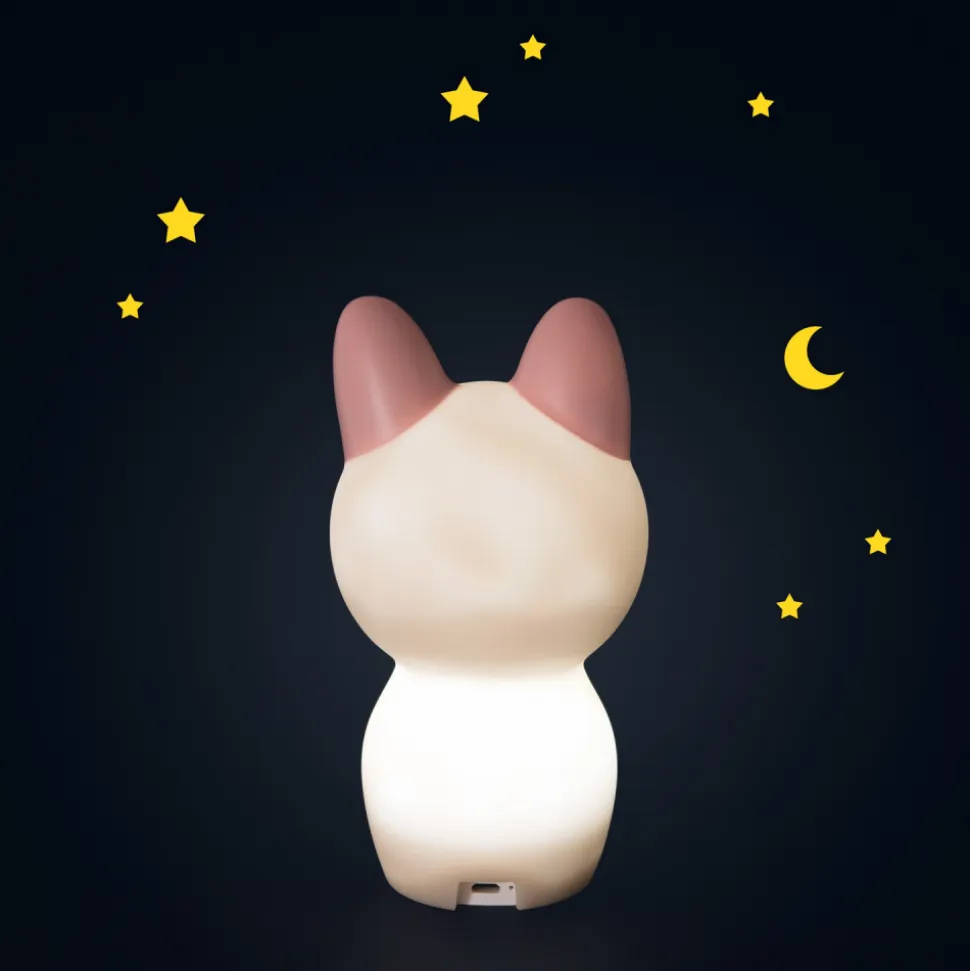 Veilleuse nomade après la pluie - chat