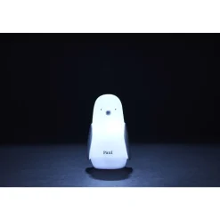 Veilleuse pingouin à induction