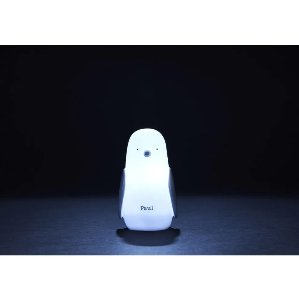 Veilleuse pingouin à induction