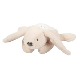 Veilleuse projecteur lapin