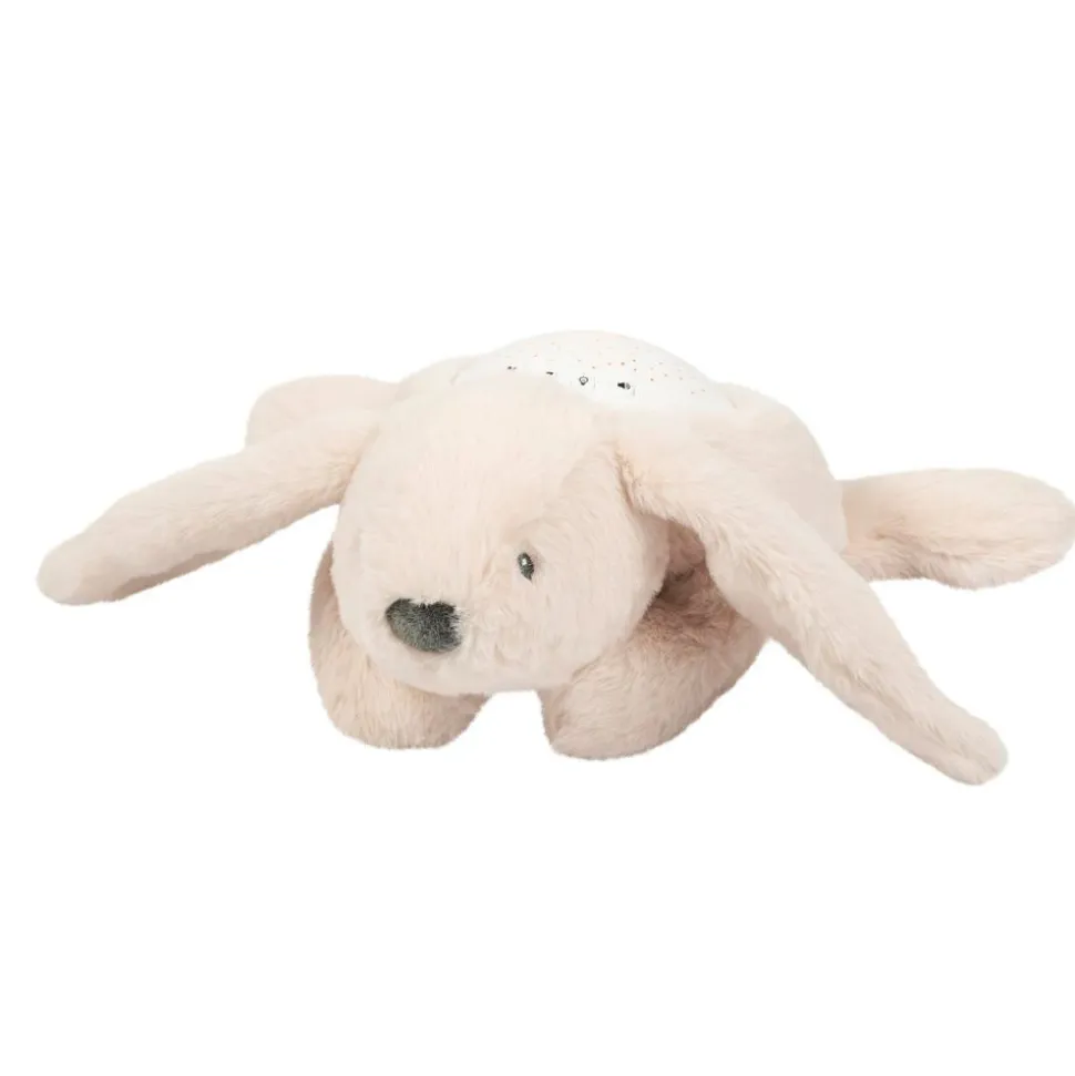 Veilleuse projecteur lapin